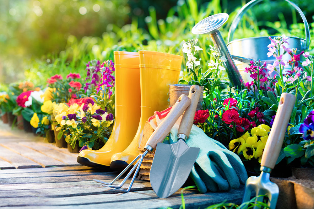 8 simple tricks every gardener should know